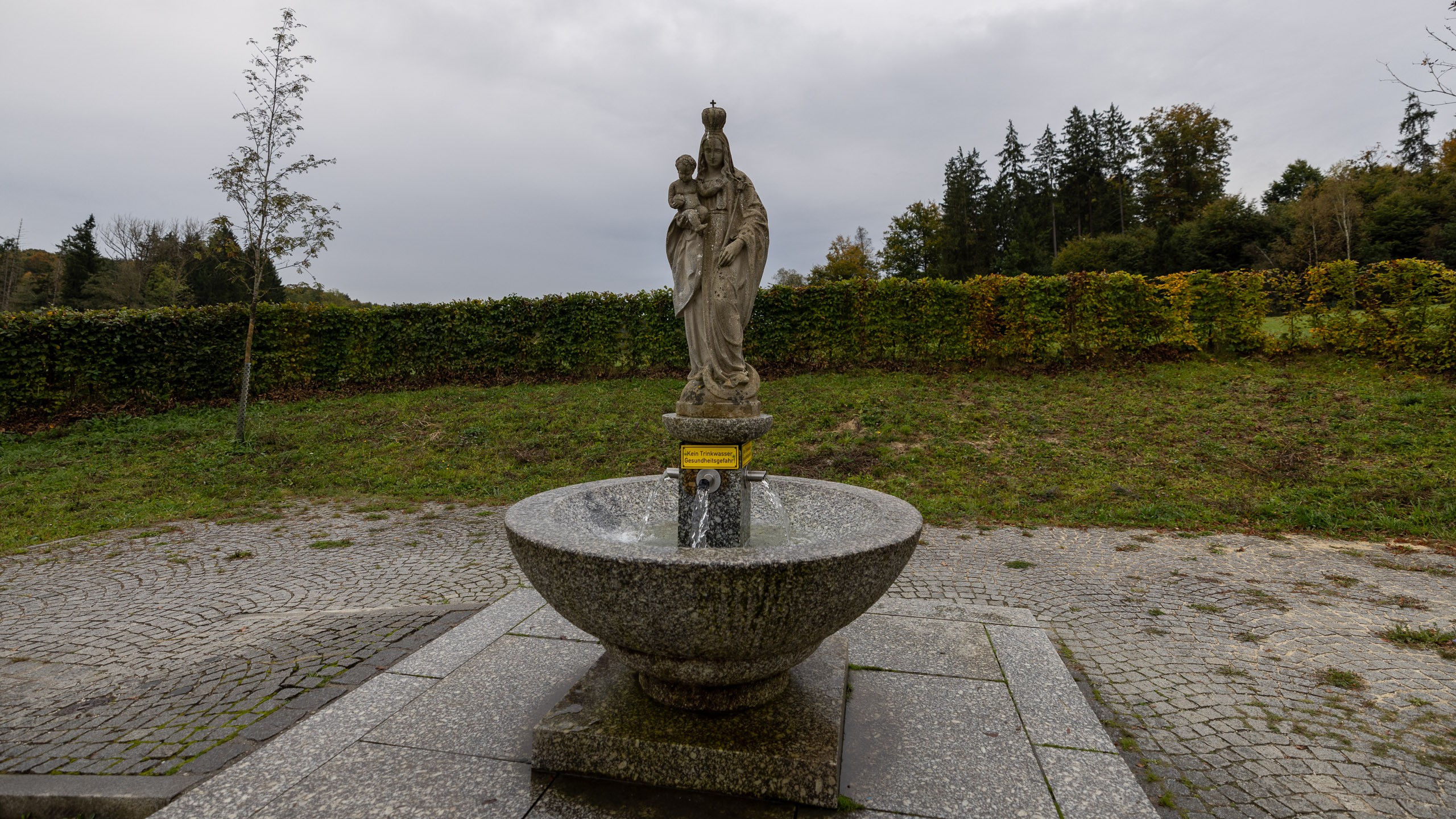 20231014112625 R5D 3906